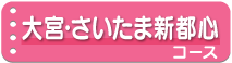 大宮・さいたま新都心コース